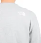 The North Face International Collection Crewneck (Hellgrau)