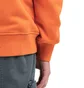 Stone Island Hoodie (Orange)