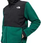 The North Face M Denali Jacket 2 (Grün / Schwarz)