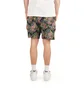 Pleasures Destiny Woven Shorts (Schwarz / Multi)