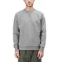 Carhartt WIP Chase Sweatshirt (Dunkelgrau)