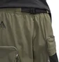 Nike ACG Cargo Shorts (Olive)