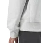Carhartt WIP American Script Hoodie (Hellgrau)