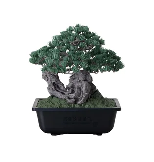 Neighborhood SRL X Bandai Spirits. Bonsai Model Kit