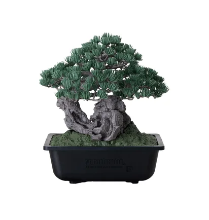 Neighborhood SRL X Bandai Spirits. Bonsai Model Kit