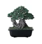 Neighborhood SRL X Bandai Spirits. Bonsai Model Kit
