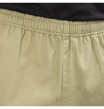 Stüssy Brushed Beach Short (Olive)