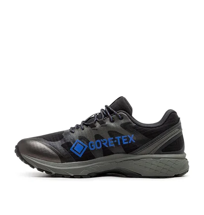 Asics Gel-Terrain GTX (Grau)