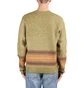 Carhartt WIP Dillon Sweater (Grün)