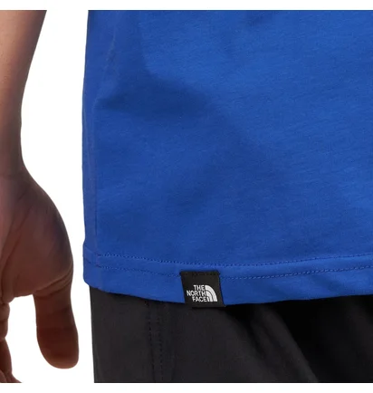 The North Face Fine Alpine Equipment T-Shirt (Blue)