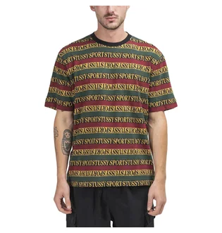 Stüssy Stripe Crew Tee (Multi)