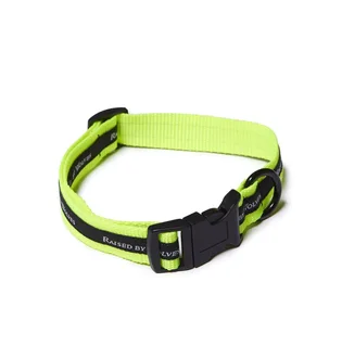 Raised by Wolves Dog Collar (Neongelb)