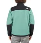 The North Face Denali Jacket (Schwarz / Grün)