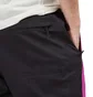 The North Face 7 Summits Futurelight Pants (Lila / Schwarz)