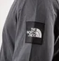 The North Face M LS Fine 2 Tee (Grau)