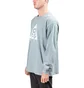 Nike ACG Logo Longsleeve (Grau)