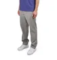 Carhartt WIP Master Pant (Grau)
