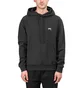 Stüssy Logo Hoodie (Schwarz)