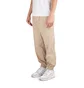 The North Face Karakash Cargo Pant (Flax)