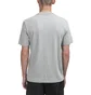 Aimé Leon Dore Flocked Logo Graphic Tee (Grau)