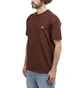 Carhartt WIP American Script T-Shirt (Braun)