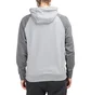 Nike Swoosh Hoodie (Grau)