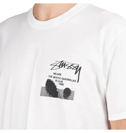 Stüssy Desert Sky Tee (Weiß)