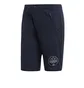 adidas Spezial Intack Shorts (Nachtblau)