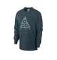 Nike ACG Logo Longsleeve (Dunkelgrün)