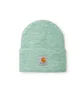 Carhartt WIP Acrylic Watch Hat (Grün)