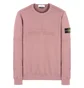 Stone Island Sweat Shirt (Quarz)