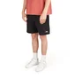 Stüssy Overdyed Stock Logo Short (Schwarz)
