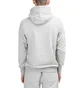 Aimé Leon Dore Logo Hoodie (Hellgrau)