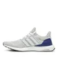 adidas Ultraboost 1.0 DNA (Grau)
