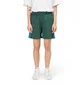 Stüssy WMNS Rib Logo Short (Grün / Blau)