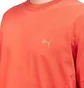 Stüssy Stock S/SL Crew (Rot)