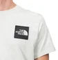 The North Face Blackbox Logo Tee (Grau)