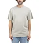Carhartt WIP S/S Ashfield T-Shirt (Grau)