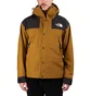 The North Face GTX Mountain Jacket (Oliv)