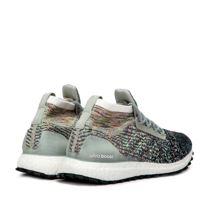 adidas UltraBoost All Terrain LTD (Multi)