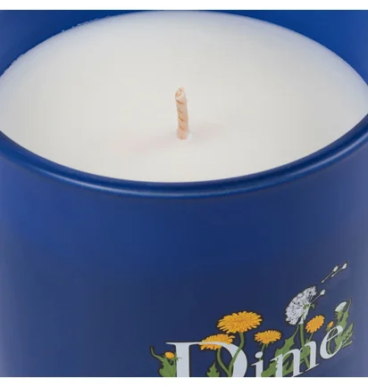 Dime Classic Plein Air Candle (Navy)