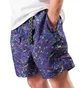 Nike ACG Shorts (Blau / Grün)