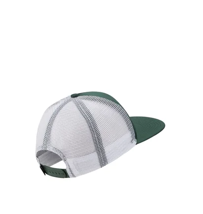 Nike x Stranger Things Pro Cap (Grün)
