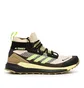 adidas Terrex Free Hiker Gore-Tex (Braun / Schwarz)