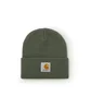 Carhartt WIP Short Watch Hat (Grün)