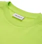 Carhartt WIP W Script Embroidery Sweatshirt (Grün)