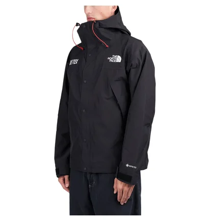 The North Face GTX Mountain Jacket (Schwarz)