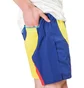 Aimé Leon Dore Color Blocked Swim Trunks (Blau)