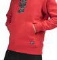 Vans Vault x Jim Goldberg Silhouette Hoodie (Rot)