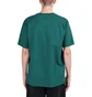 by Parra Hot Springs T-Shirt (Grün)